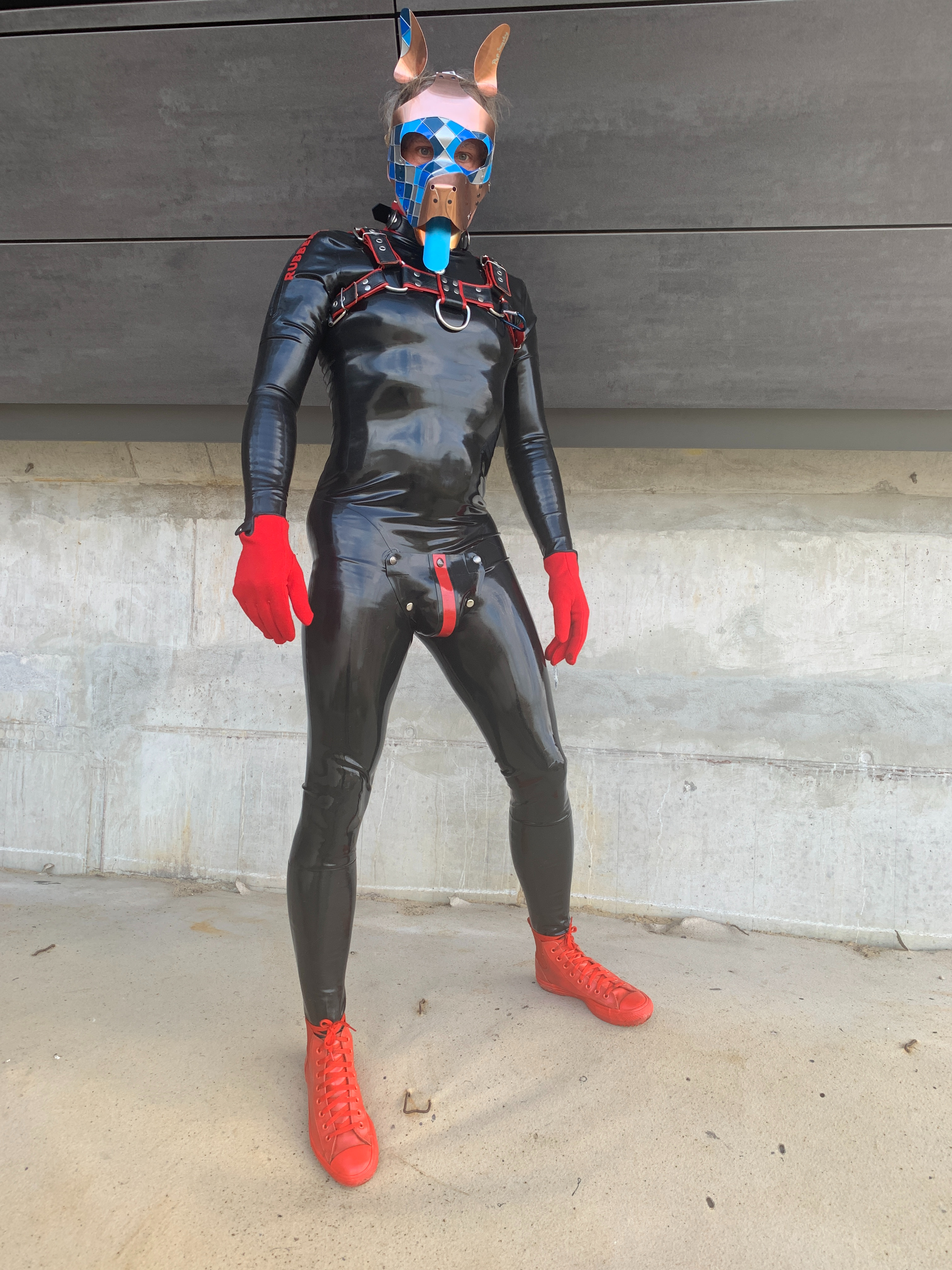 Pup Smarty mit "Venatian"