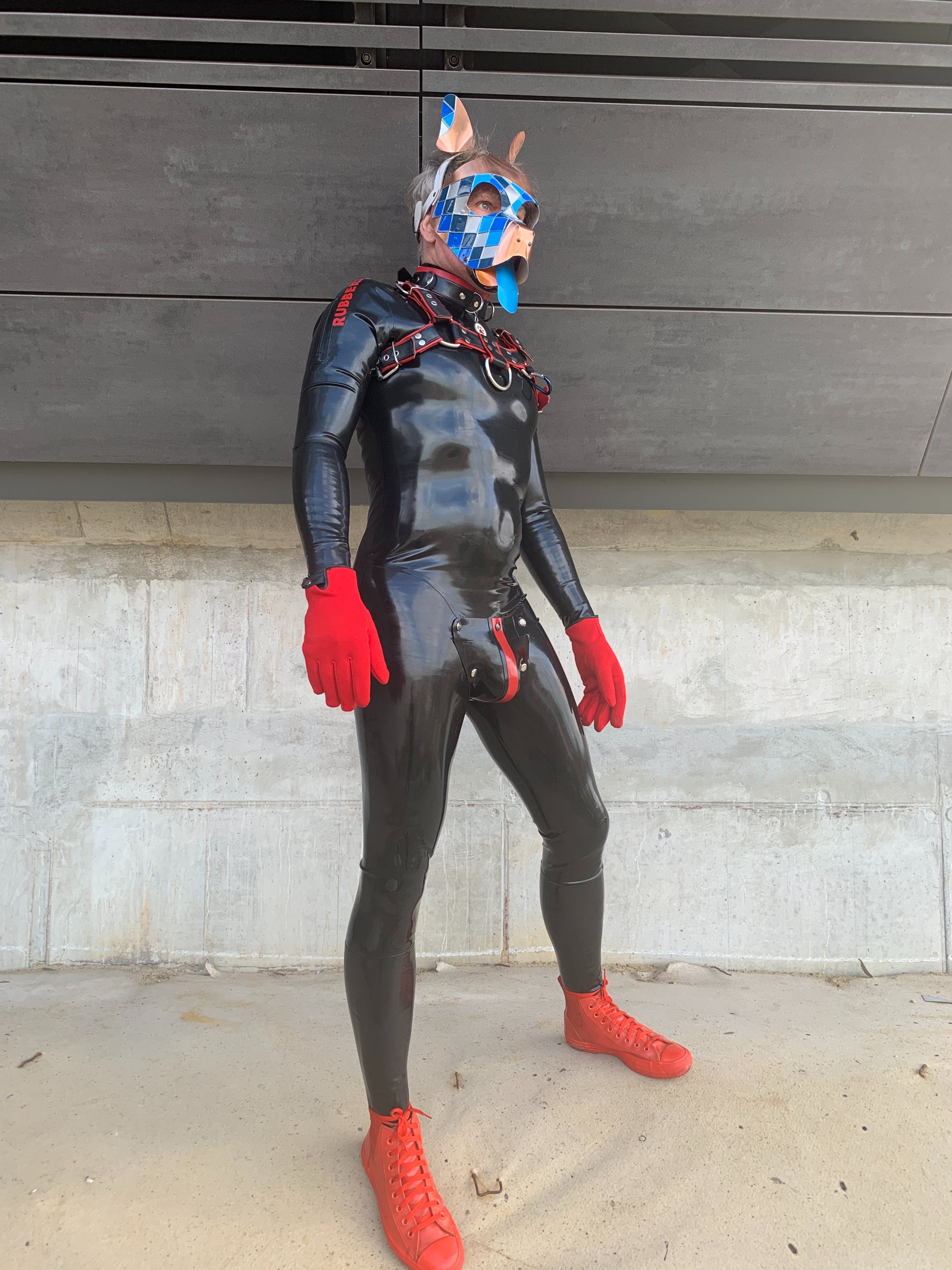 Pup Smarty mit "Venatian"